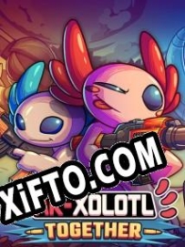 Ключ активации для AK-xolotl: Together